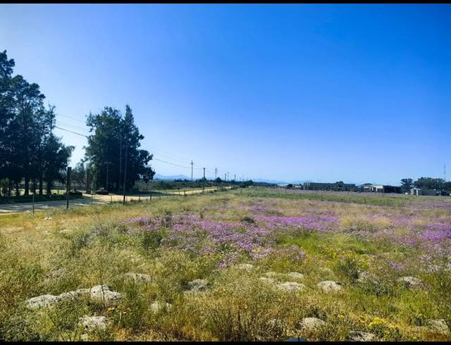 LAND FOR SALE IN HARTEBEESFONTEIN